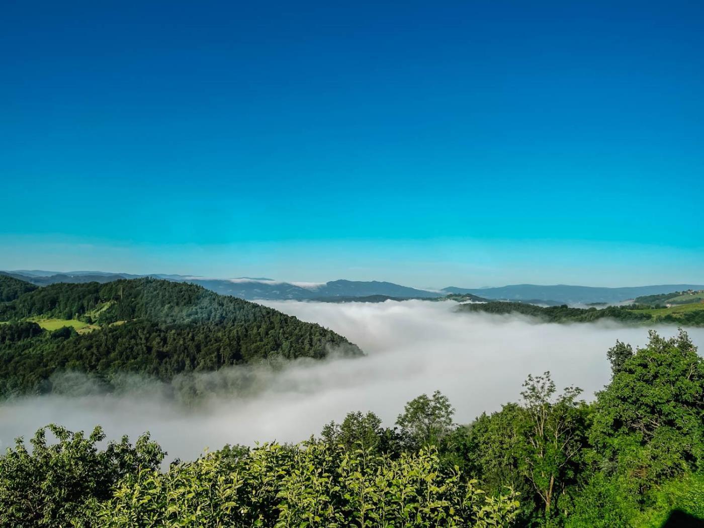 Winzerhaus Roemerstrasse Кітцек-ім-Заузаль Екстер'єр фото